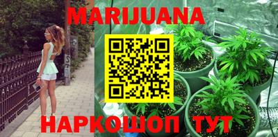 прущие грибы Заволжье