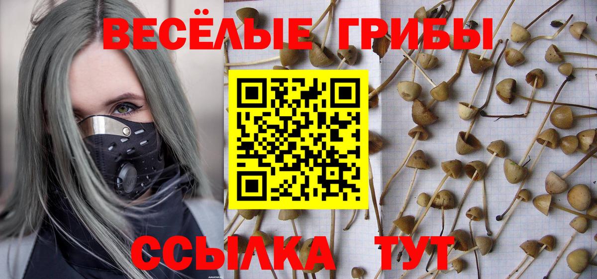 Мирный  Галлюциногенные грибы прущие грибы  Вход с VPN 
